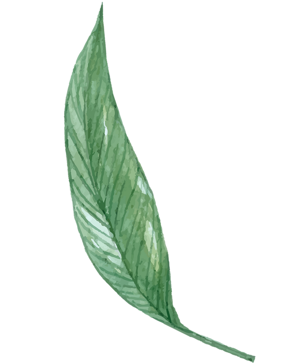 Clinical training credential