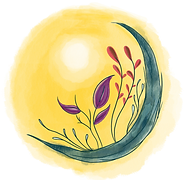 Koa Counseling & Consulting logo