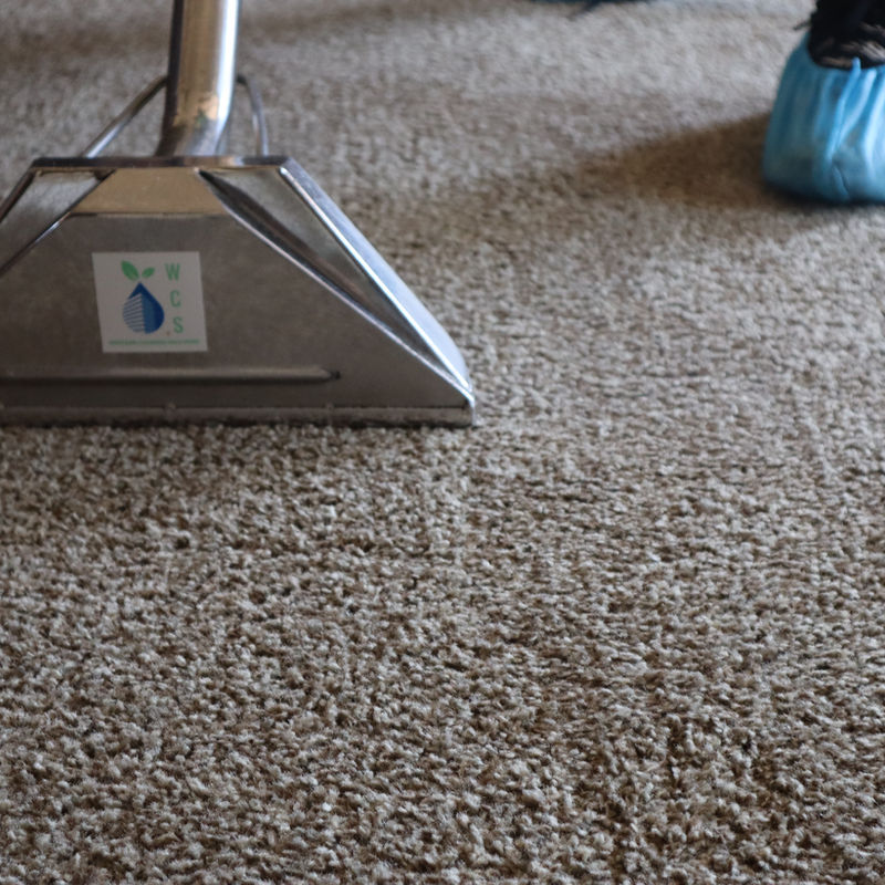 Western Cleaning Solutions team